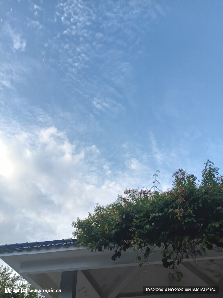 蓝天与屋边绿植风光
