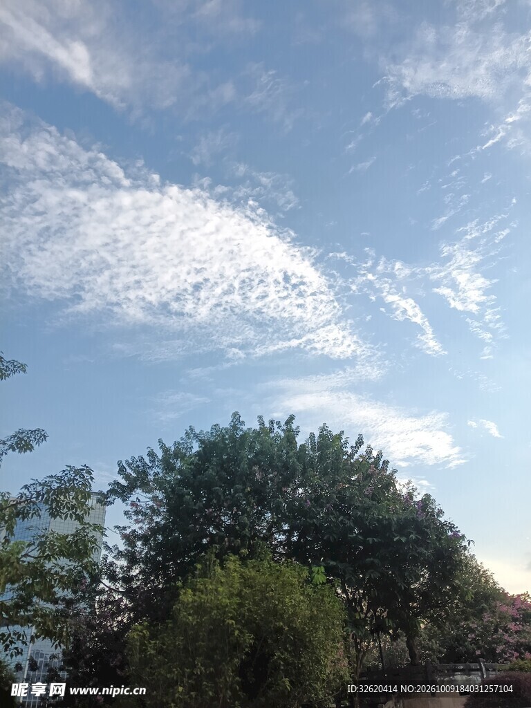 蓝天绿树晴空美景
