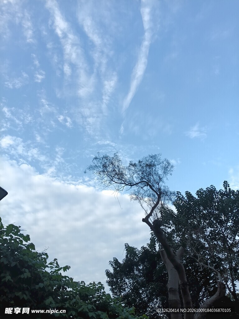 蓝天绿树晴空风光