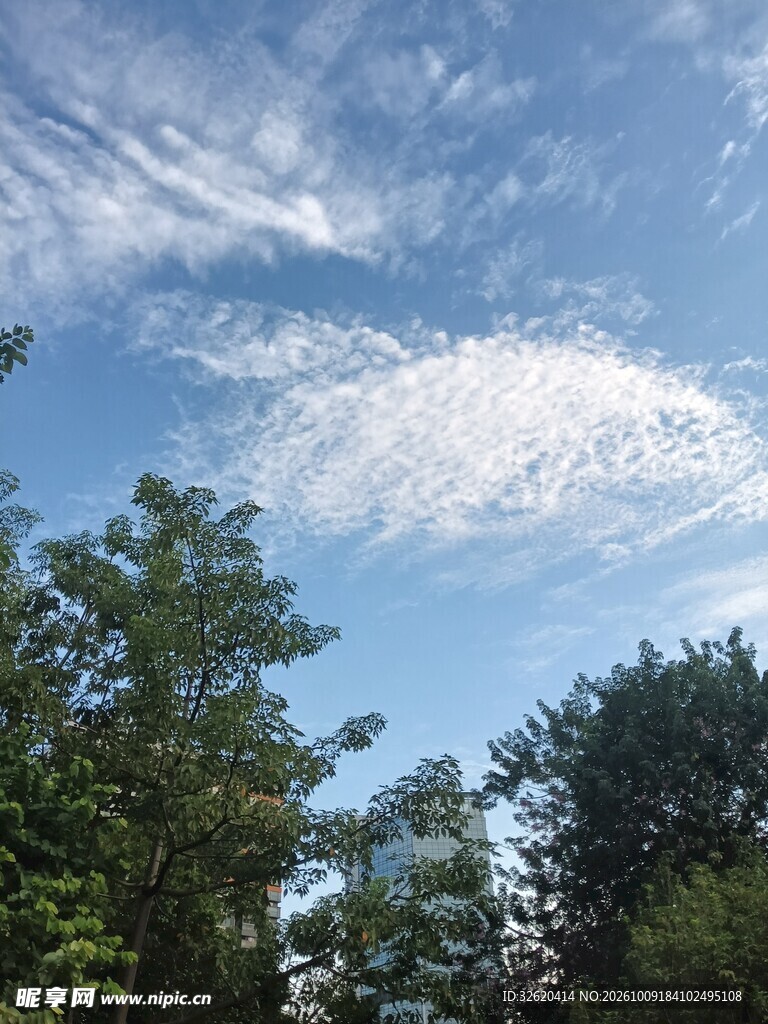 蓝天白云绿树自然风景