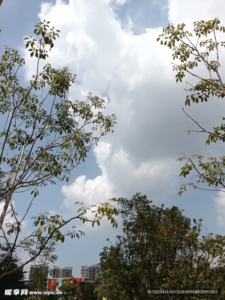 蓝天绿树白云自然风景