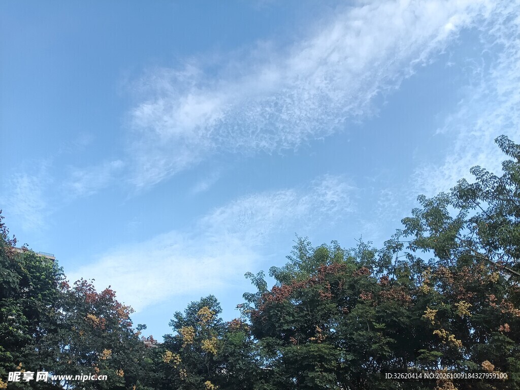 蓝天绿树自然风光