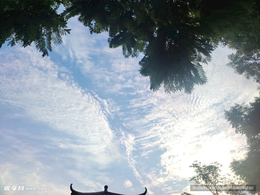 晴空树影古檐景致