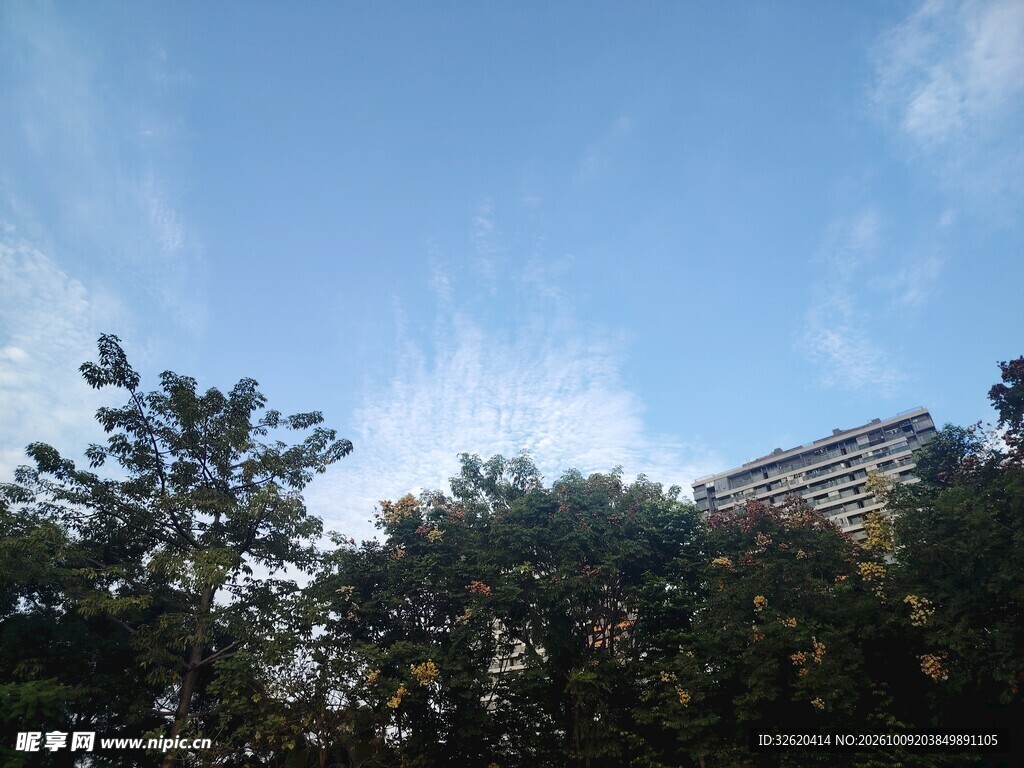 蓝天绿树城市风光
