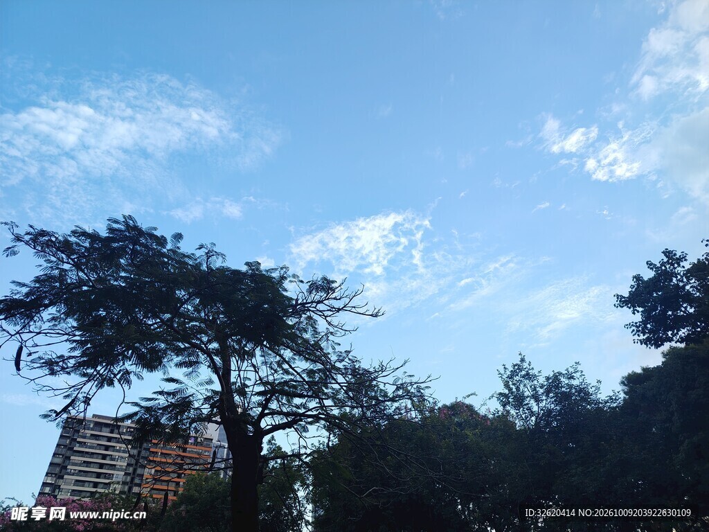 蓝天绿树城市风光