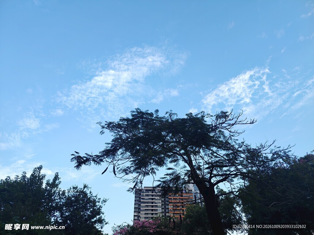 蓝天树影城市风光