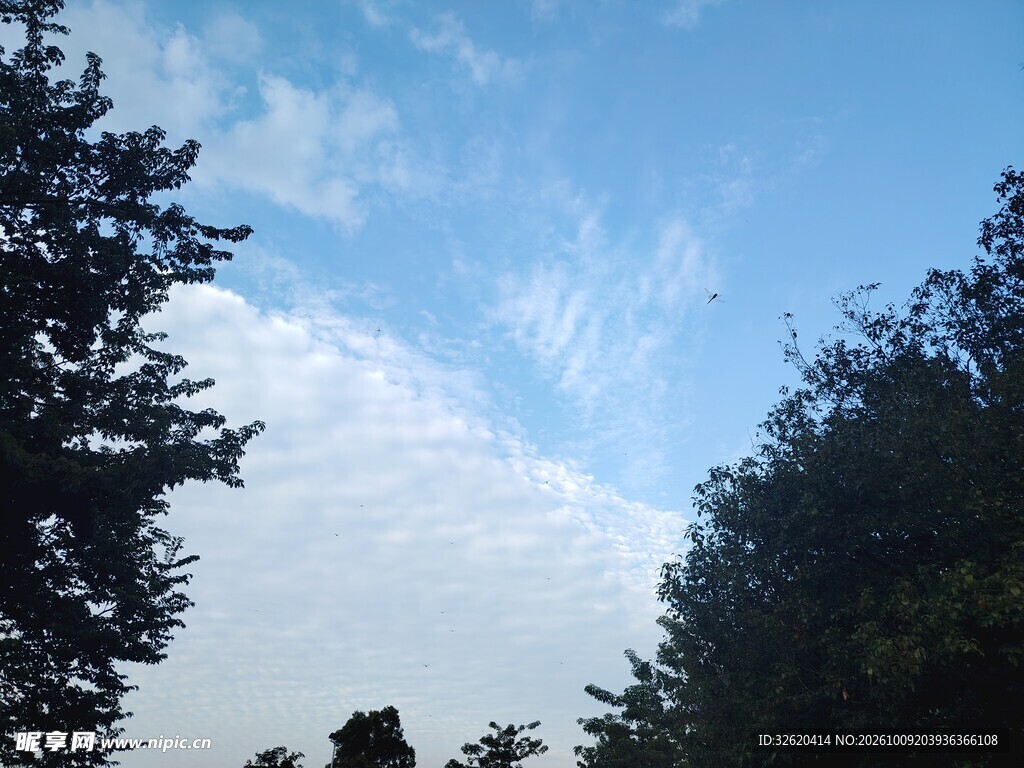 蓝天绿树自然风景