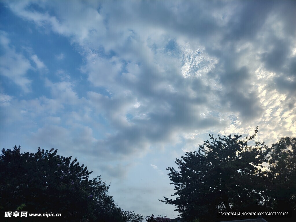 多云天空与树木剪影