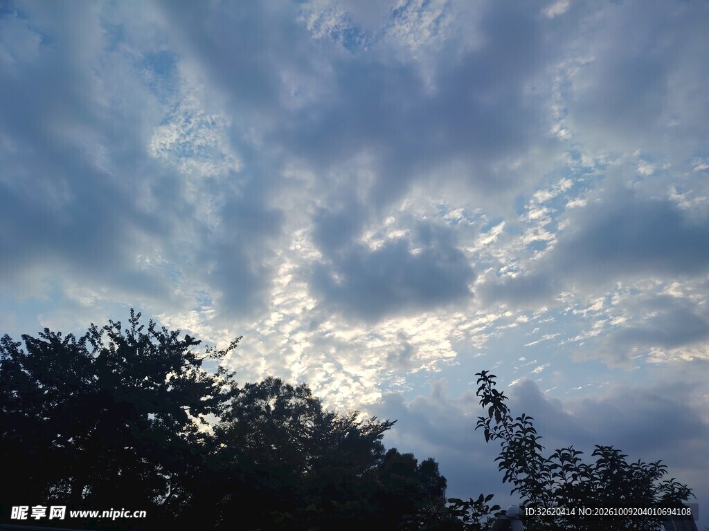 云天树影自然景观
