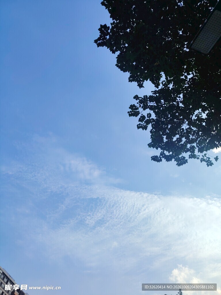 蓝天树影晴空风景
