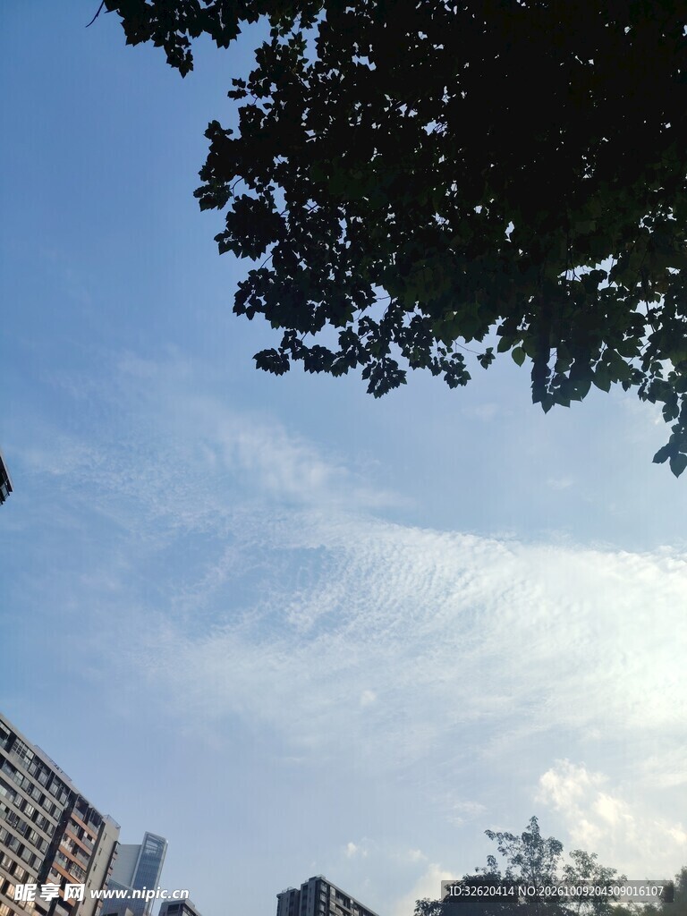 城市晴空树景