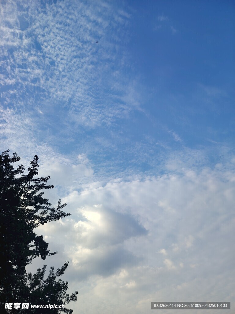 晴空云下树影景致