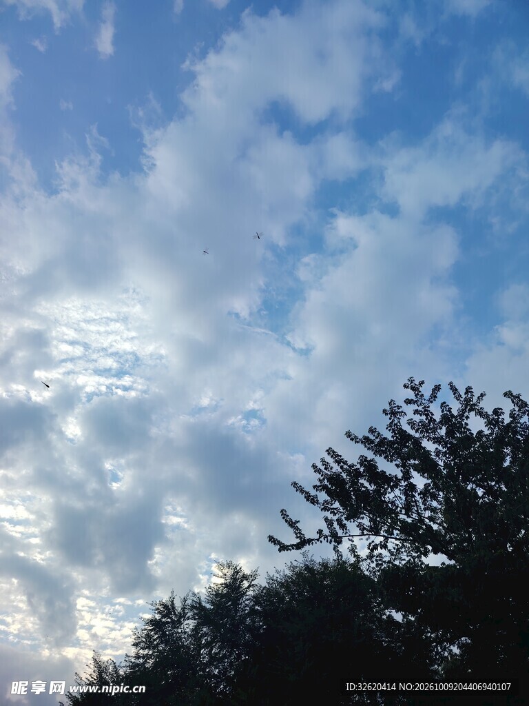蓝天流云与树梢剪影