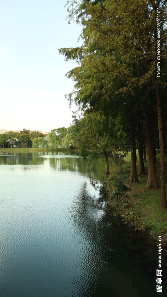 湖畔林间自然美景