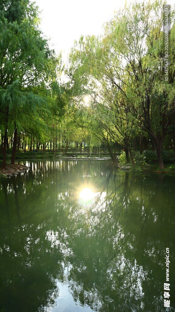 林间湖面晨光倒影