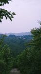 林间远眺山野风光