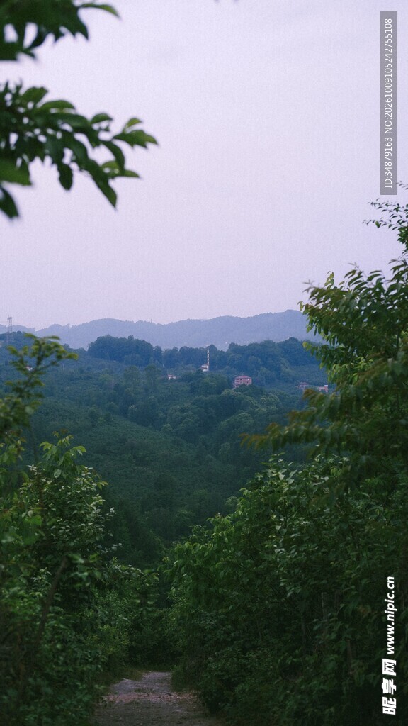 林间远眺山野风光