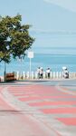 海边休闲步道风光