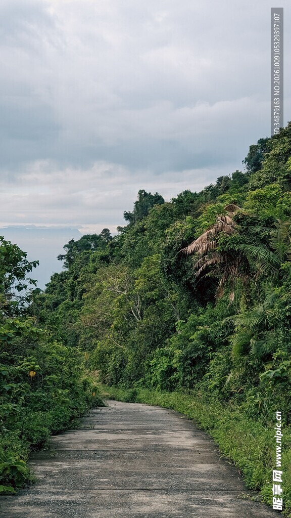 山林郊野小路风景