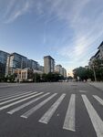 城市清晨街道斑马线