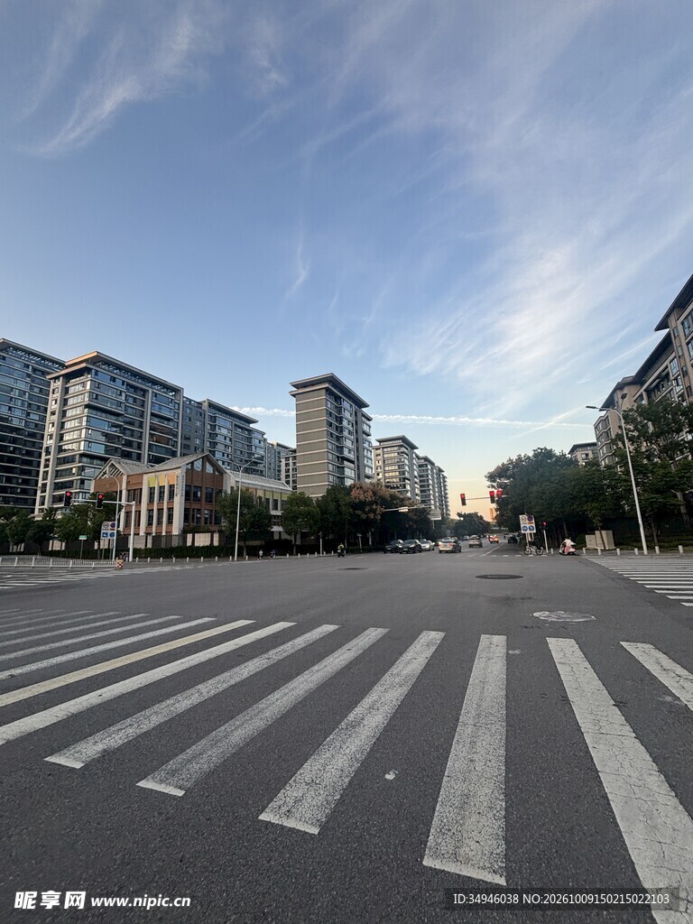 城市清晨街道斑马线