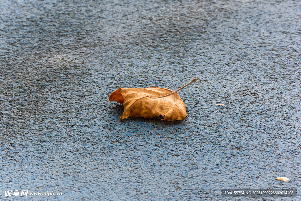 秋日落叶