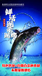 烤鱼海报