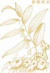 金色线描草本植物纹样