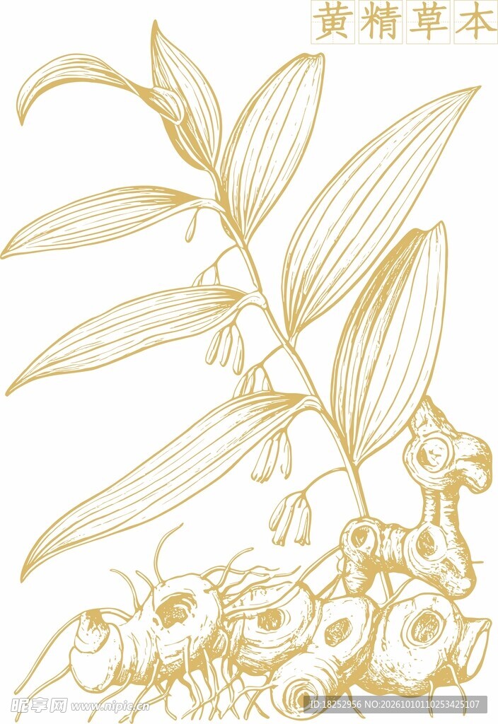 金色线描草本植物纹样