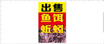 鱼饵