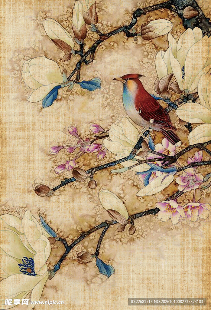 玉兰花鸟工笔国画