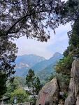 林间远眺青山风光泰山风光高山远