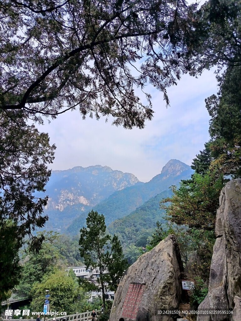林间远眺青山风光泰山风光高山远