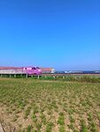 郊野晴空高架列车风景海边风景