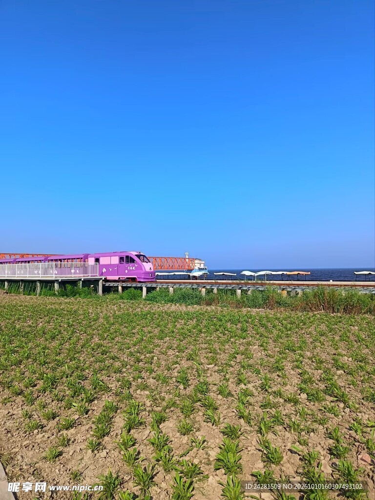 郊野晴空高架列车风景海边风景
