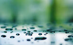 雨后玻璃水珠朦胧绿意