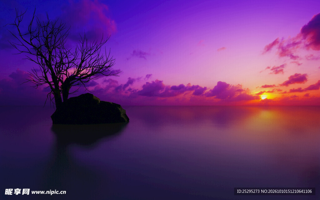 湖面孤树日落紫霞美景