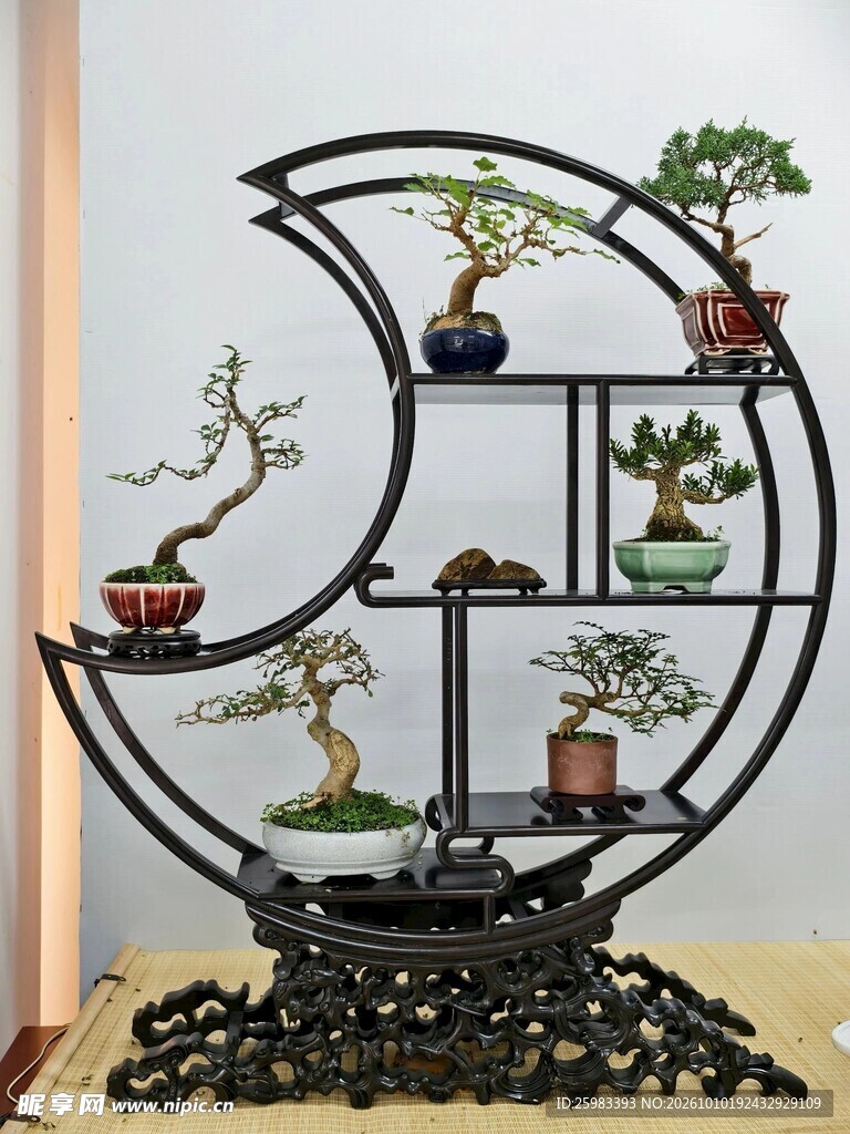 盆景