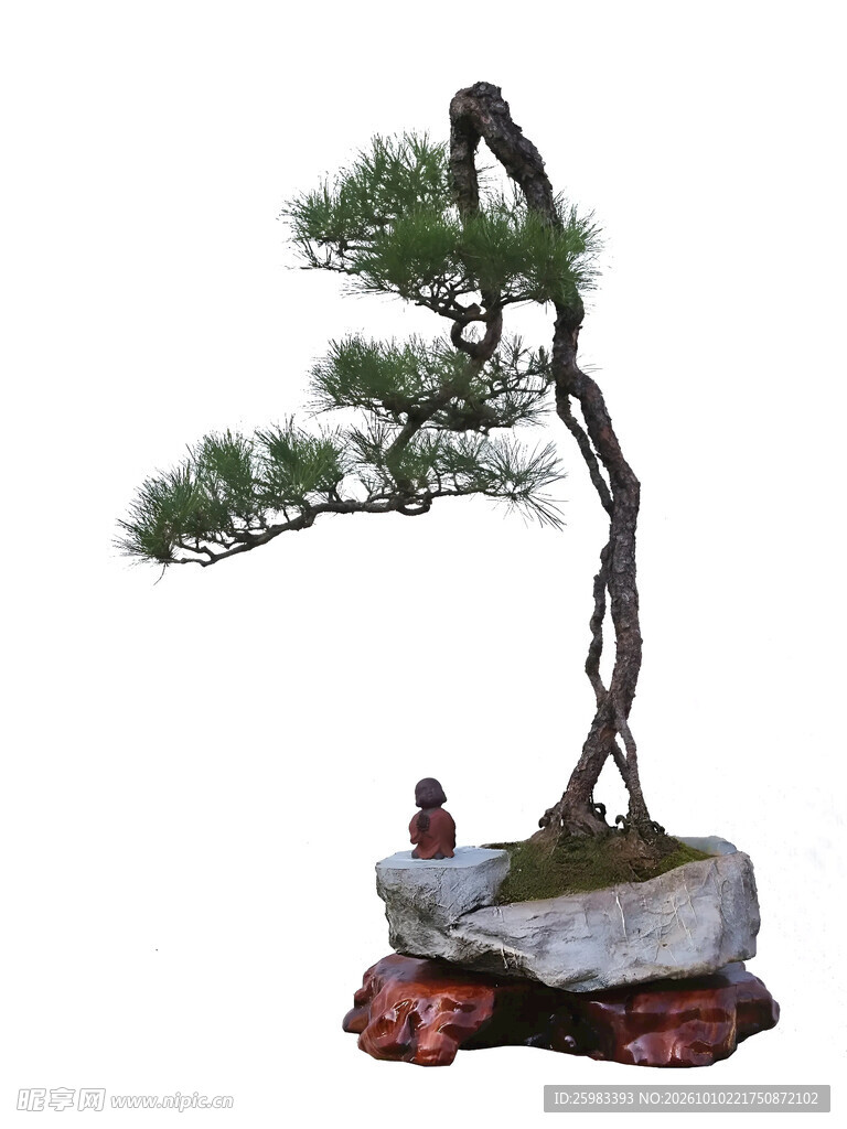 盆景