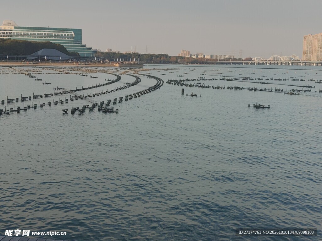 滨海沿岸水域风光