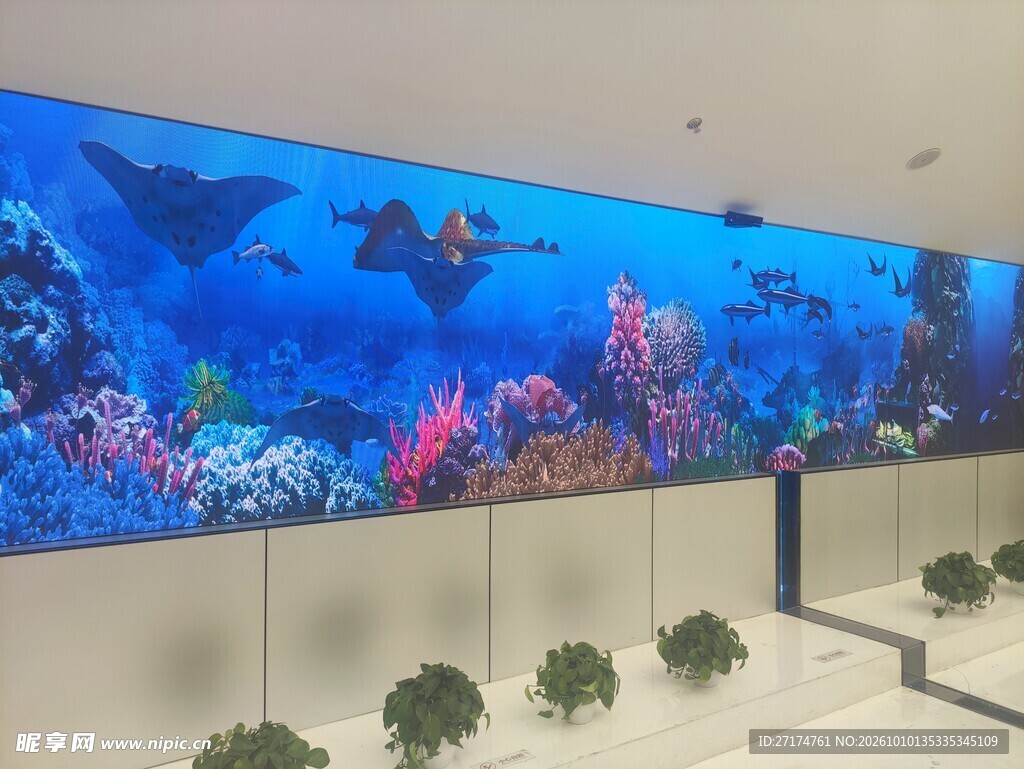 大型室内观景水族箱