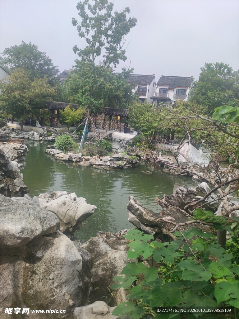 郊野村居池塘小景