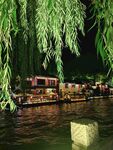 夜河垂柳游船夜景