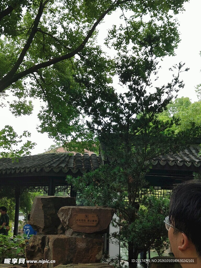 林间树荫下的凉亭