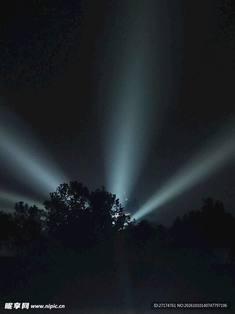 夜晚树林上空的光束