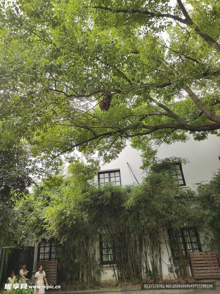 绿荫掩映的小屋