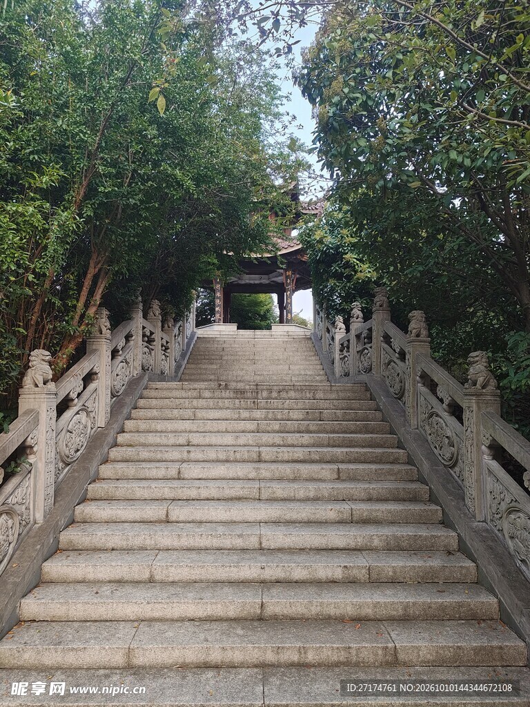林荫石阶步道