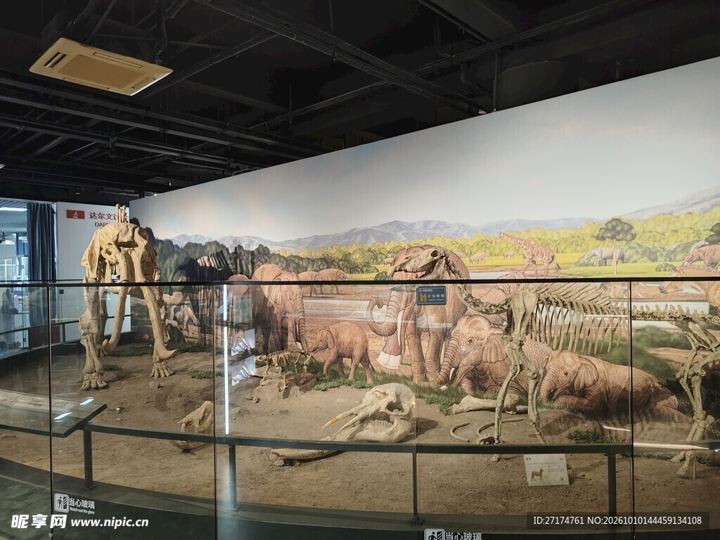 博物馆古生物化石展厅