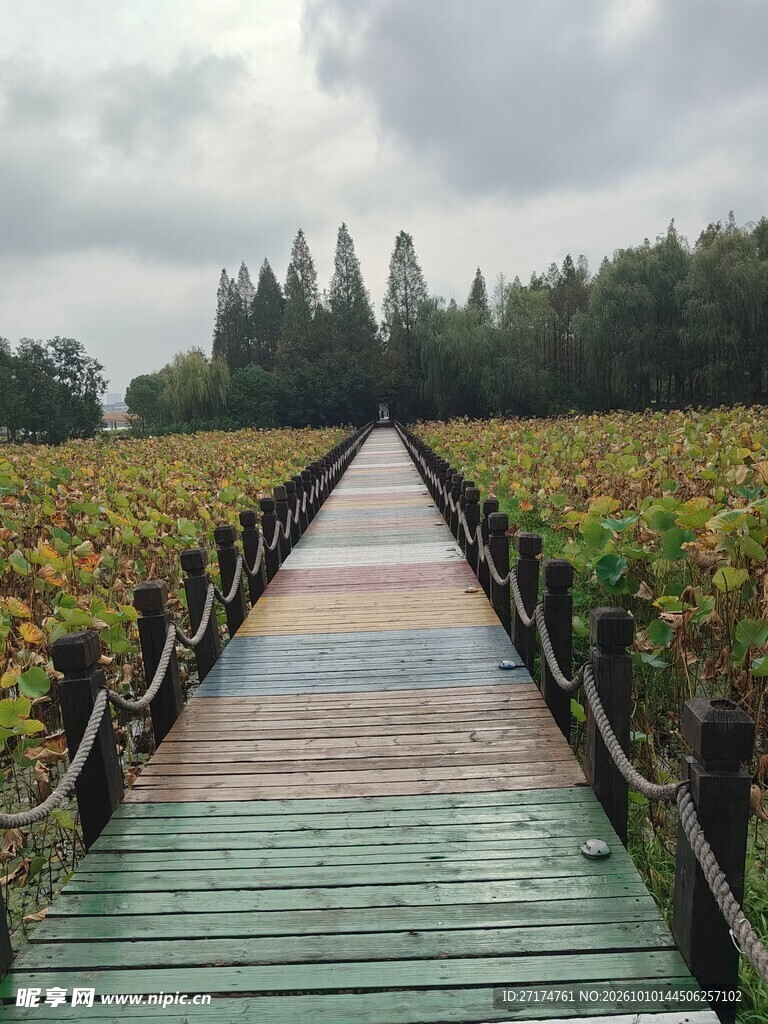 郊野田间步道风光