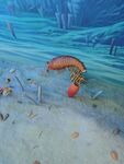 远古海底生物复原
